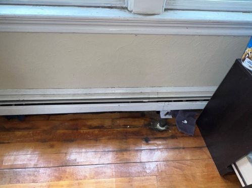 131 Daboll St, Providence RI 02907-2529 exterior