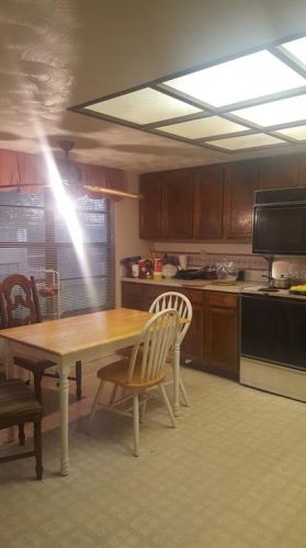 4887 Puritan Cir, Tampa FL 33617-8355 exterior