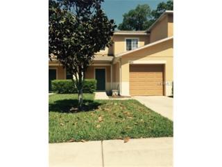 4586 Limerick Dr, Tampa, FL 33610-9173