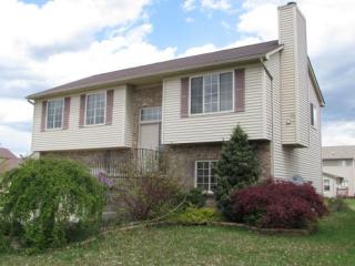 330 Dundee Ridge Dr, Rea MI  48131-9580 exterior