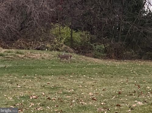 124 Bollinger Rd, Littlestown PA 17340-9119 exterior