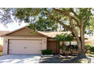 9104 Camino Villa Blvd, Tampa FL  33635-1065 exterior