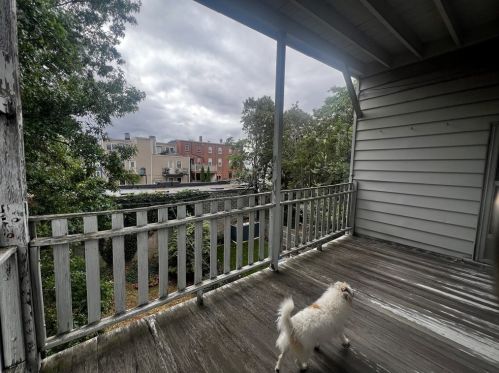 885 Broadway, Boston MA 02127-2322 exterior