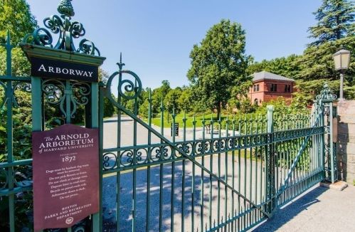 992 Centre St, Boston MA  exterior