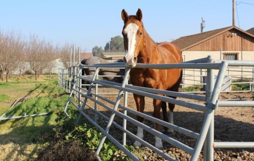 2007 Glenwood Ave, Turlock CA 95380-6237 exterior