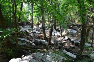 121 Neal Ave, Smyrna, TN 37167-5444