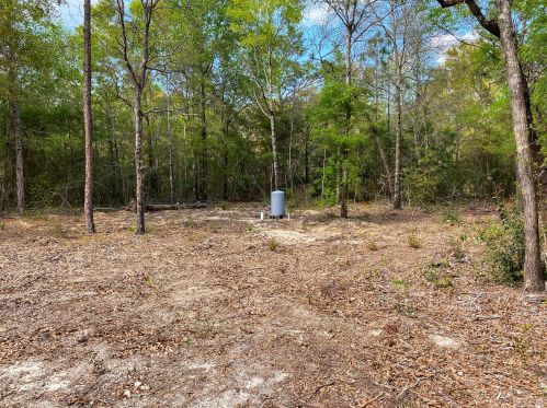 255 Holley King Rd, Defuniak Springs FL 32433-7218 exterior