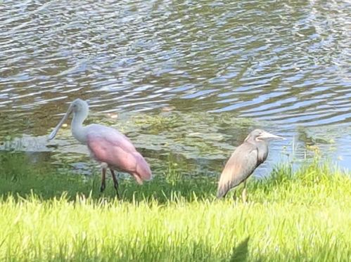 3310 Park Dr, Fort Pierce FL 34982-8424 exterior