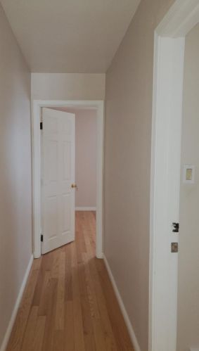 3033 Pitney Ct, Chicago IL  60608-5505 exterior