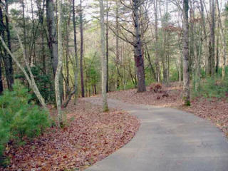 95 Brookline Dr, Asheville, NC 28803-3497