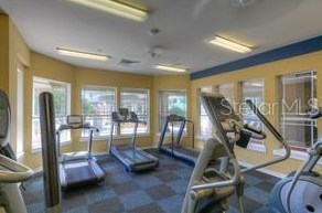 8204 Nature Cove Way, Tampa FL 33647-3224 exterior