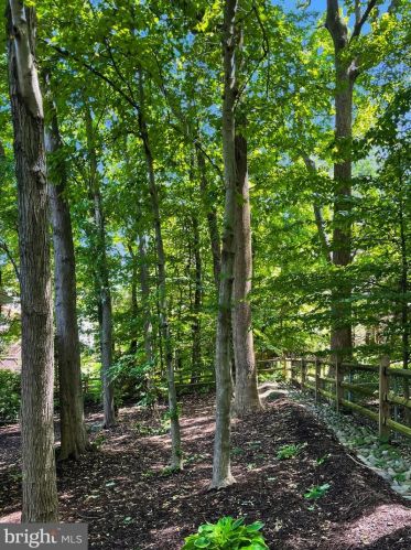 5823 Colfax Ave, Alexandria VA 22311-1013 exterior