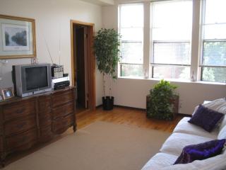 701 Laflin St, Chicago IL  60607-3124 exterior