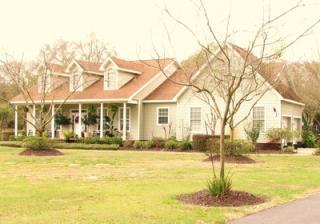 5815 Frontier Dr, Zephyrhills FL  33540-7613 exterior