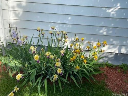 43 Liberty St, Middletown NY 10940-5520 exterior