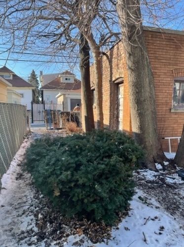 8138 Hermitage Ave, Chicago IL 60609-3810 exterior