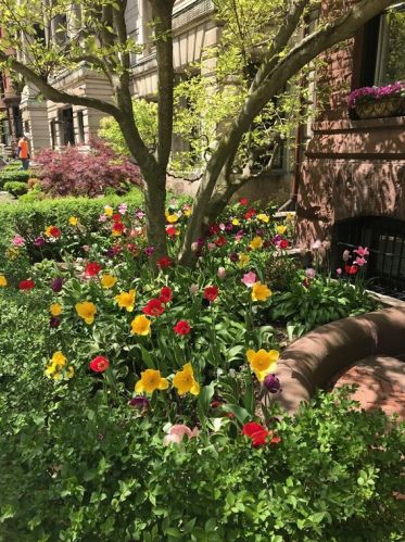 215 Commonwealth Ave, Boston MA exterior