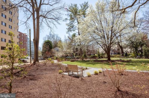 4600 Connecticut Ave, Washington DC  20008-5739 exterior