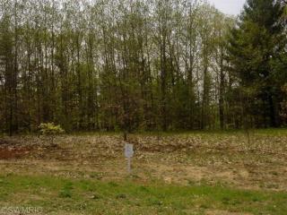 1725 Fairview Dr, Allegan MI  49010-8994 exterior