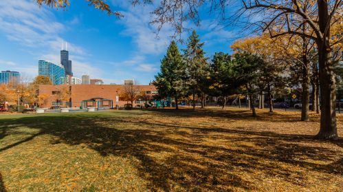 1311 Plymouth Ct, Chicago, IL 60605-3369