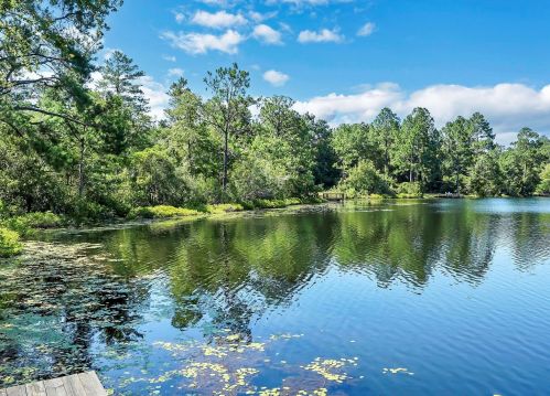 43 Magnolia Lake Dr, Defuniak Springs FL 32433-5252 exterior