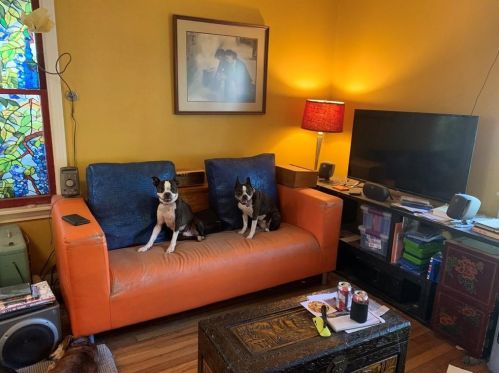 1815 Collier St, Austin TX 78704-2910 exterior