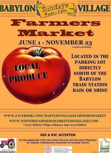 218 Woodsome Rd, Babylon NY 11702-3319 exterior