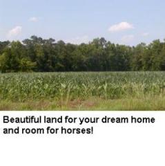 1720 Forlines Rd, Winterville NC  28590-9872 exterior