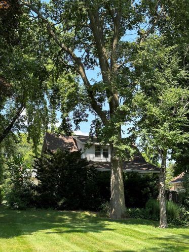 5642 Riv Frst Dr, Milwaukee WI 53209-4520 exterior