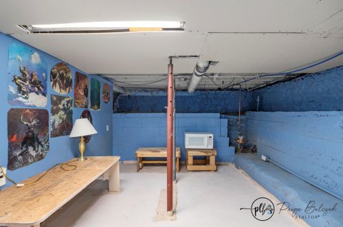 721 James St, Belding MI 48809-2222 exterior