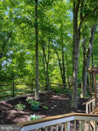 5823 Colfax Ave, Alexandria VA 22311-1013 exterior