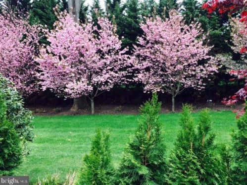 11300 Glen Rd, Rockville MD 20854-1849 exterior