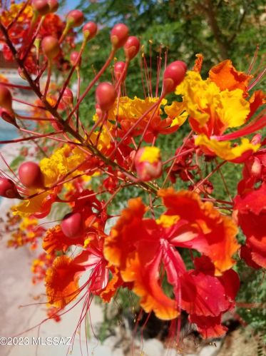 6790 3rd St, Tucson AZ  85710-1244 exterior