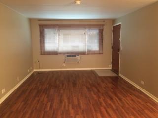 5231 East River Rd, Chicago IL  60656-2931 exterior