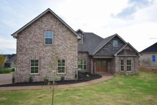 201 Caroline Lee Dr, Smyrna, TN 37167-5355