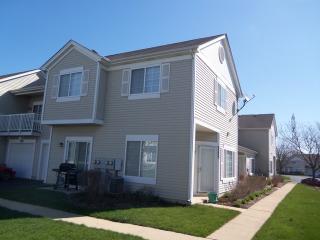 3225 Heather Glen Dr, Aurora IL  60504-6681 exterior