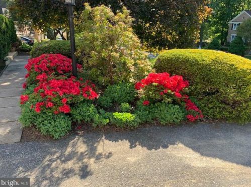 212 Farmgate Ln, Silver Spring, MD 20905-5704