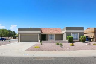 480 Rio Dr, Chandler, AZ 85225-2206