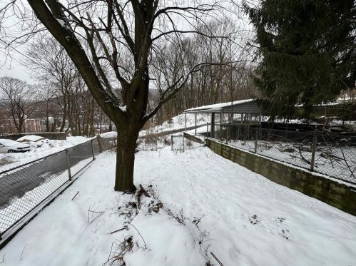 617 Race St, Primrose PA  17901-2444 exterior