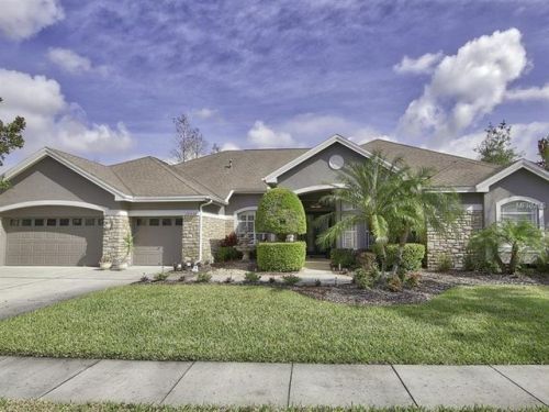 10554 Greensprings Dr, Tampa FL  33626-1724 exterior