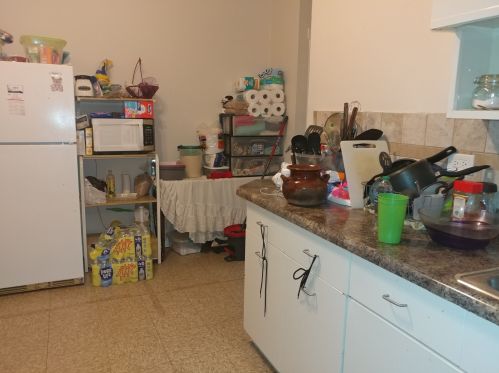 4801 Ada St, Chicago IL 60609-5919 exterior