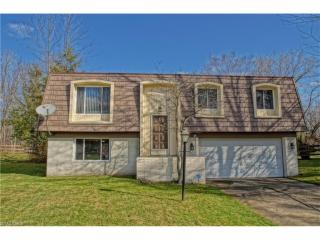 10325 Smugglers Cv, Aurora, OH 44202-9078