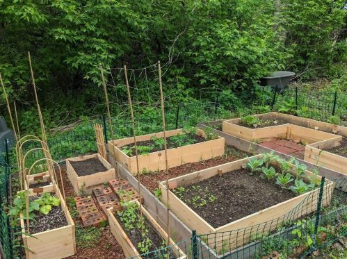 2698 Greystone, Saint Paul MN 55128-3919 exterior