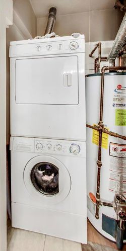 1640 Diversey Pkwy, Chicago IL  60614-1022 exterior