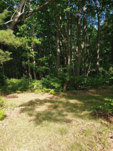 1547 Duck Lk Rd, Meskegon MI 49445-8329 exterior