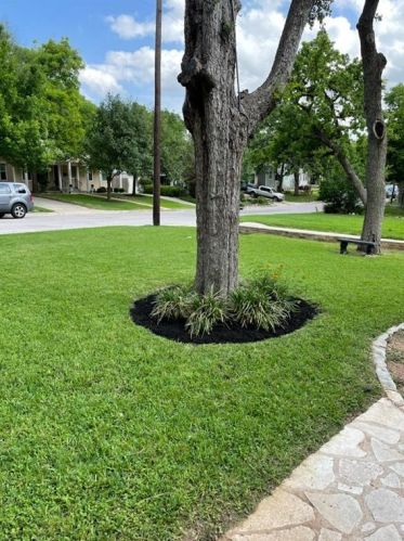 2204 Forest Trl, Austin TX  78703-2934 exterior