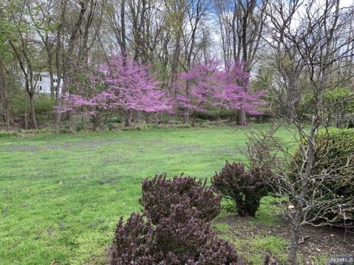 5 Fairfield Ct, Demarest NJ  07627-2517 exterior