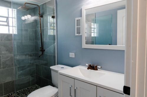 10205 Wallace St, Chicago IL 60628-1831 exterior