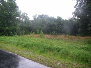 8810 Woodleaf Blvd, Zephyrhills, FL 33544-2675