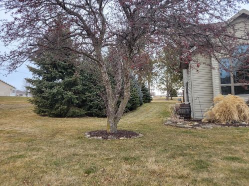 1342 Louisa St, Watertown WI 53094 exterior